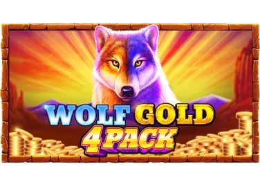 pkpk222 APP မိုဘိုင်းဖုန်းပေါ်တွင် Live Casino ကစားနေသောမြင်ကွင်း