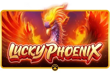 pkpk222 ကတ်ဂိမ်း Poker Blackjack ကစားနည်း အဆင့်ဆင့်ပုံ
